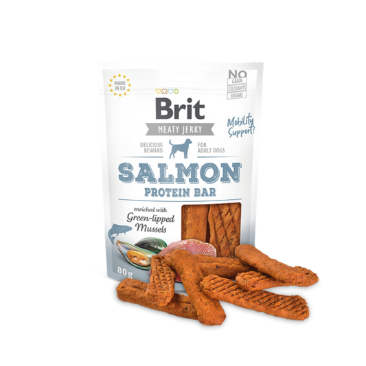 SALMON PROTEIN BAR