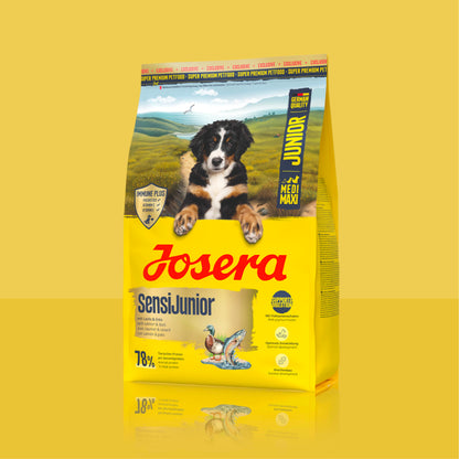 SENSI JUNIOR