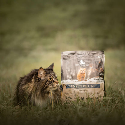 SENSITIVE CAT