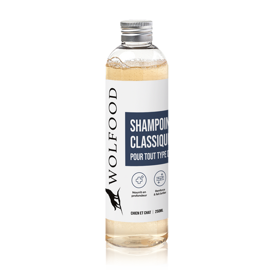 SHAMPOING CLASSIQUE