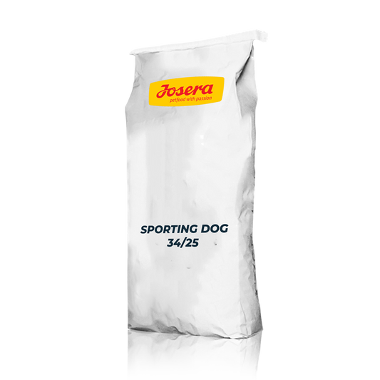 SPORTING DOG