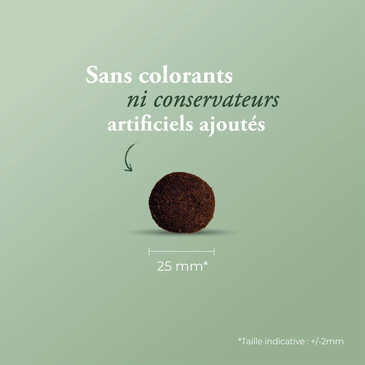 Ultra Maxi Adult 12 kg + calendrier de l'avent offert