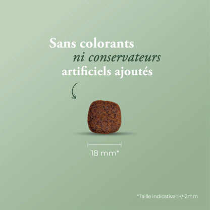 Ultra Maxi Junior 12 kg + calendrier de l'avent offert