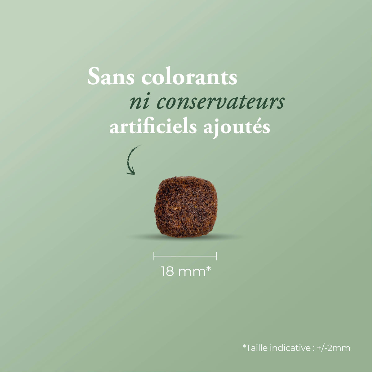 Ultra Medium Adult 12 kg + calendrier de l'avent offert