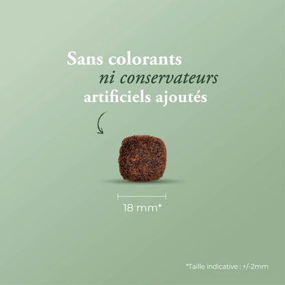 Ultra Medium Adult 12 kg + calendrier de l'avent offert