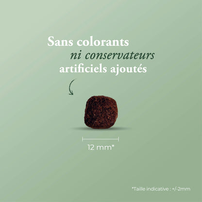 Ultra Medium Lamb 12 kg + calendrier de l'avent offert
