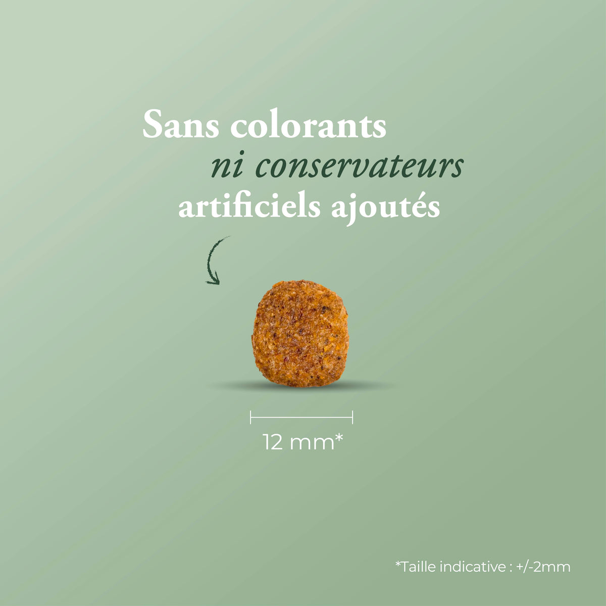 Ultra Medium Light 12 kg + calendrier de l'avent offert