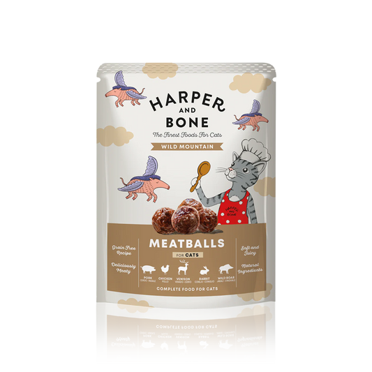 MEATBALLS WILD MOUNTAIN CHAT