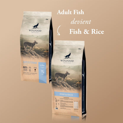 FISH & RICE