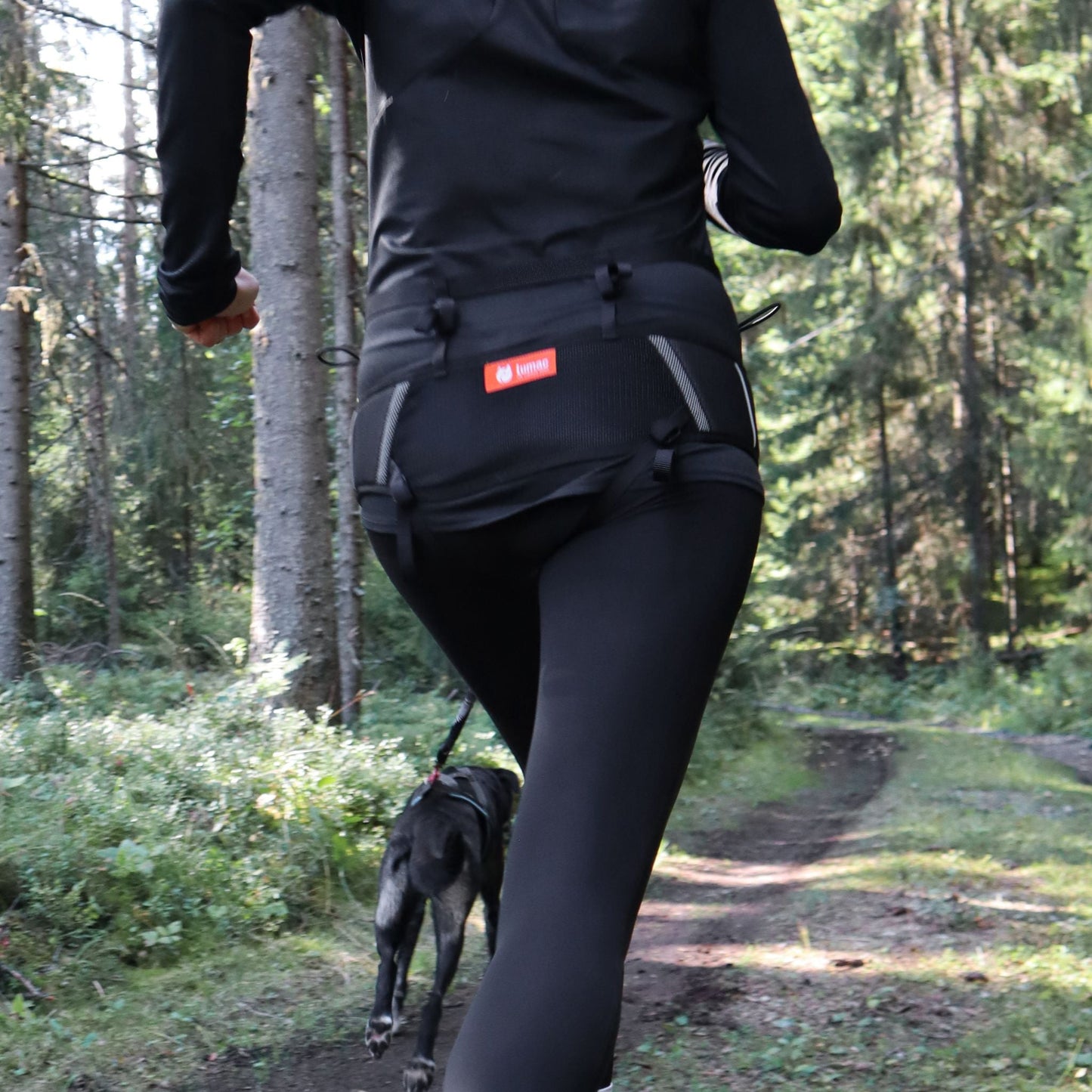 Baudrier de canicross Rebelt