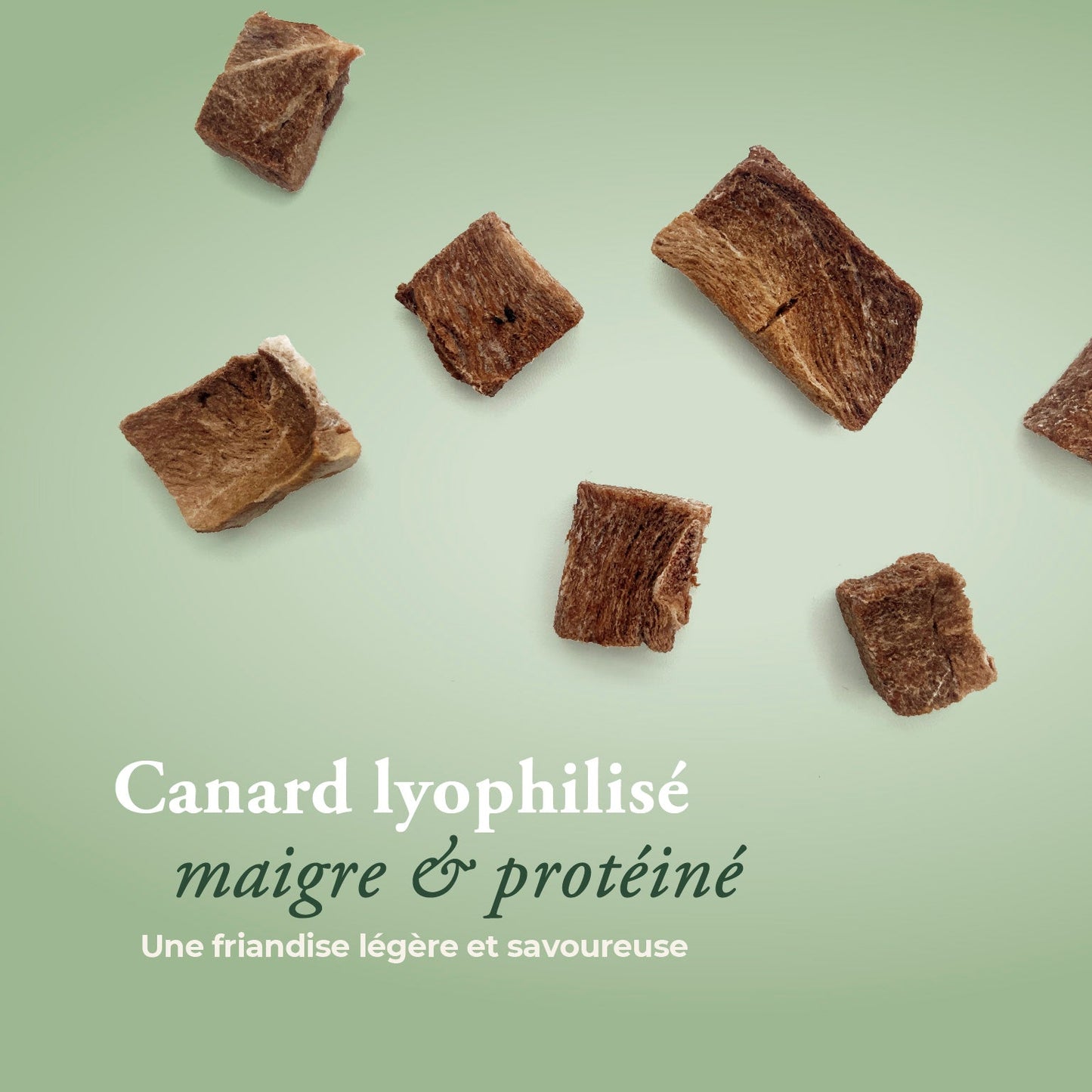 Canard lyophilisé
