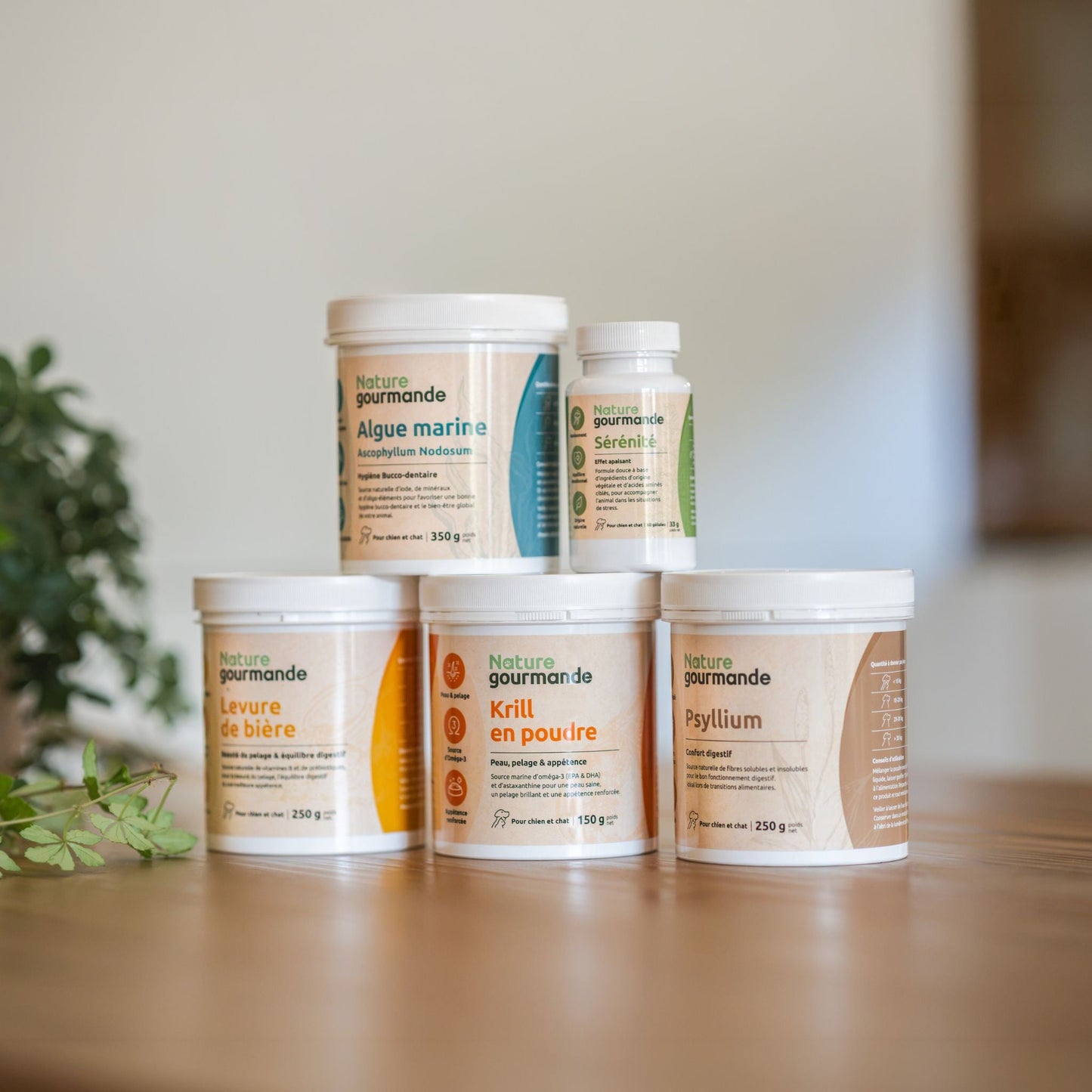 Psyllium