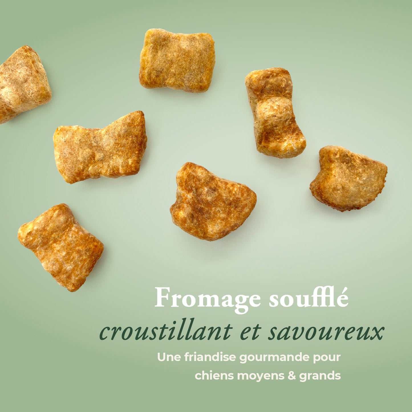 Fromage soufflé