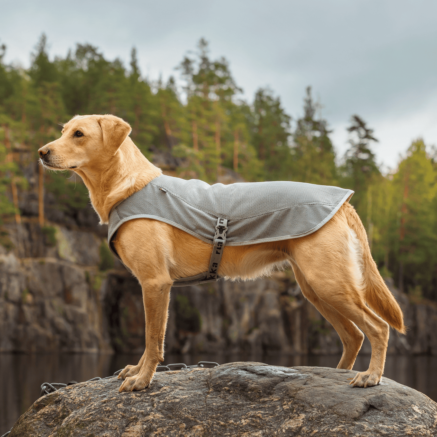 Manteau rafraîchissant