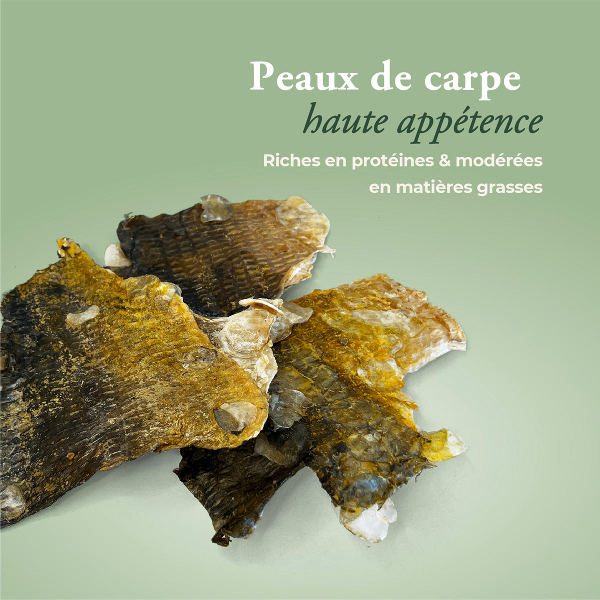 Lot friandises naturelles poisson + boîte hermétique OFFERTE