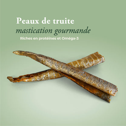 Lot friandises naturelles poisson + boîte hermétique OFFERTE
