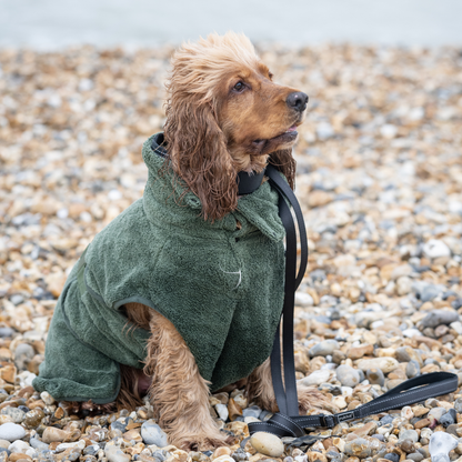 Peignoir pour chien très absorbant