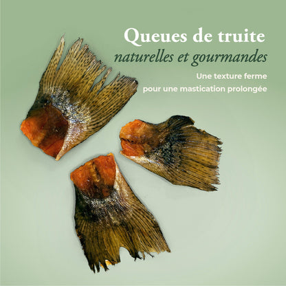 Queues de truite