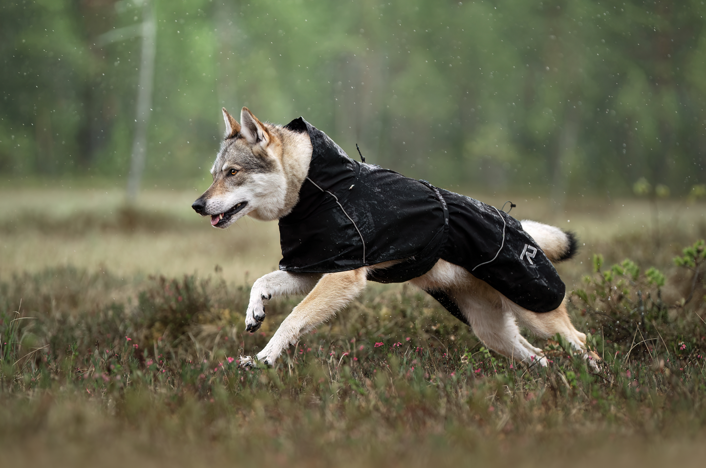 Veste de pluie