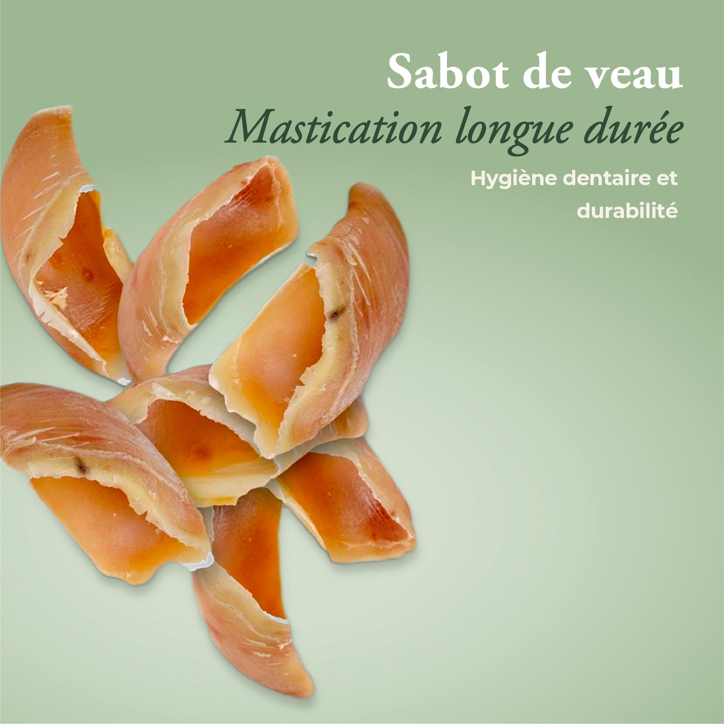 SABOTS DE VEAU