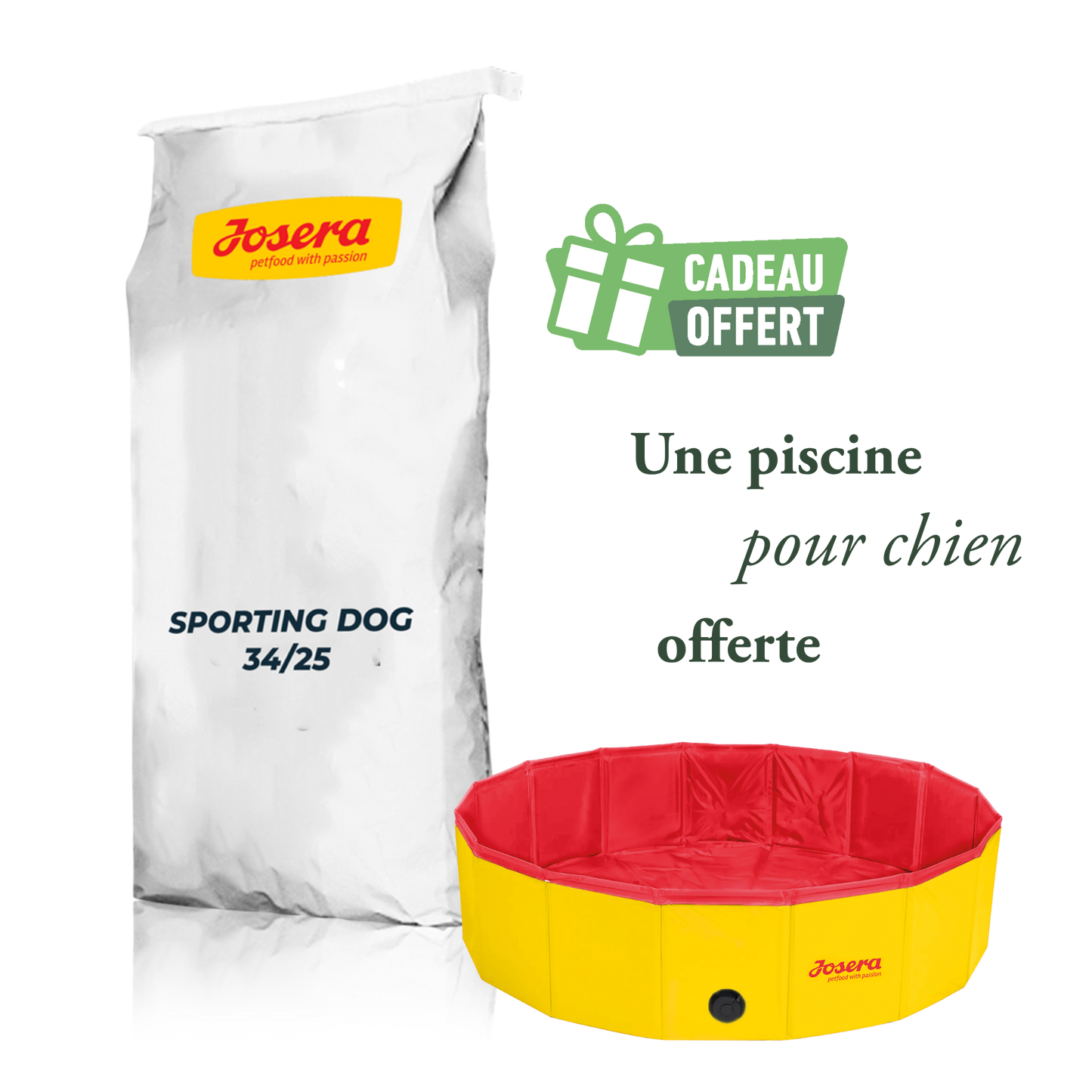 Sporting dog 18 kg + piscine offerte