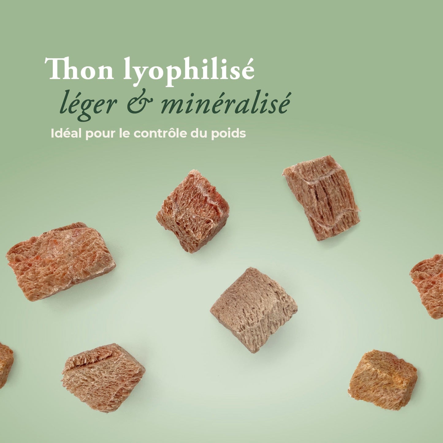 Thon lyophilisé