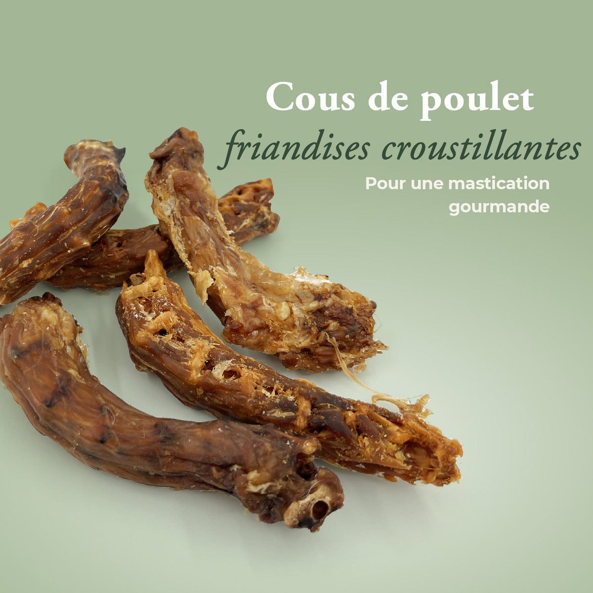 Lot friandises naturelles mixte + boîte hermétique OFFERTE