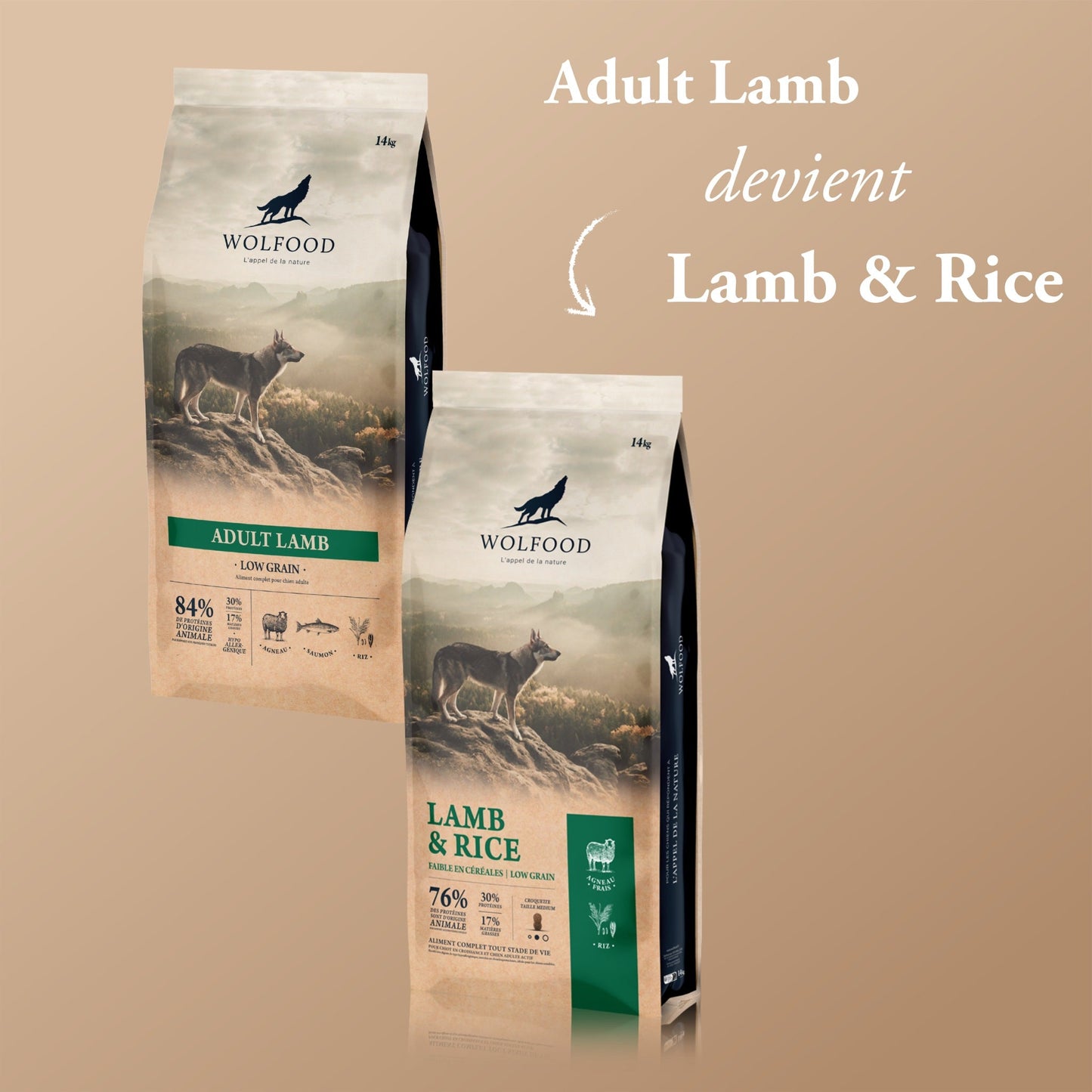LAMB & RICE